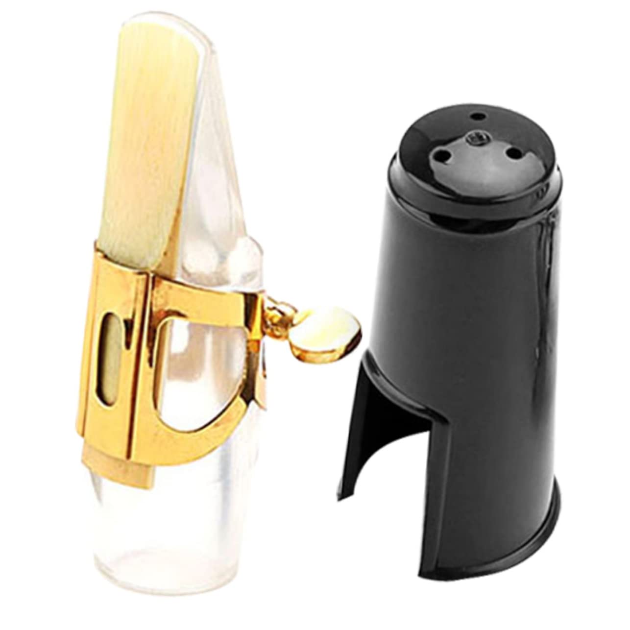 HANABASS Alto Saxophone Kit with and Cap Transparent Mouthpiece for Flat Saxophones for Students and Beginners Easy to Assemble