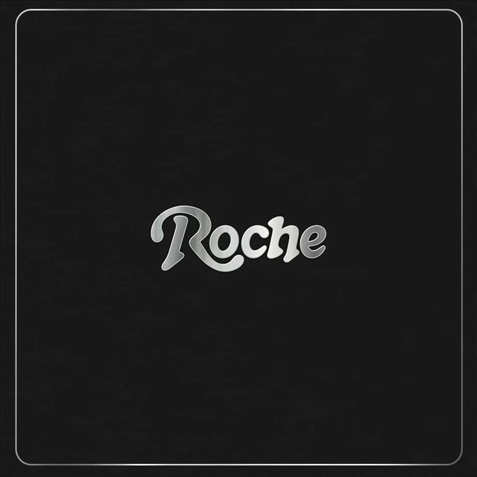 Back to the Groove - Roche Musique [VINYL]