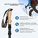 Imagen de - OM-Trekking Pole-Carbon-Black, Bastones