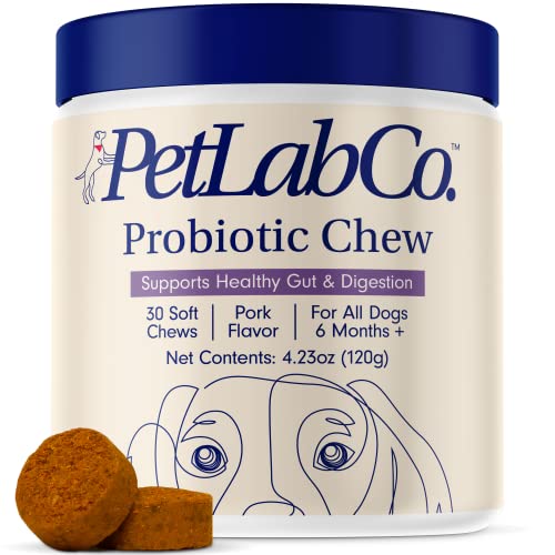 PetLab Co. Probiotics for Dogs - Support Gut Health, Itchy Skin, Seasonal Allergies, and Yeast with Each Tasty Chew - Dog Probiotics - Perfect for Small, Medium and Large Dogs - Packaging May Vary