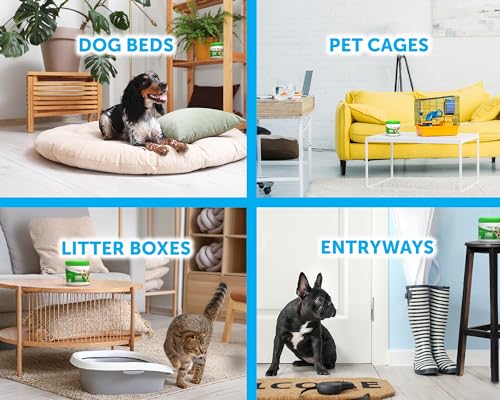 Bright Air Solid Pet Odor Eliminator Cool Citrus Scent 14 Oz Each 6 Pack  Cucciolini Doodles Bright air solid pet odor eliminator cool citrus scent 14 oz each 6 pack   cucciolini doodles