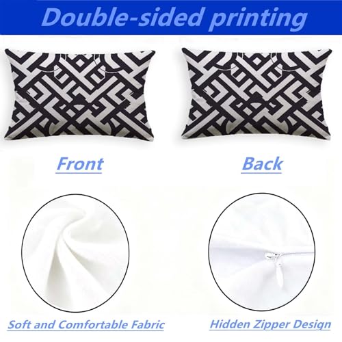 Coussin abstrait noir et blanc 50x70cm lot de 2 velours salon