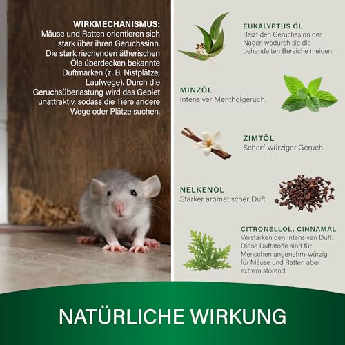 Veddelholzer 250 ml Mäuseabwehr Set mit Duftsäckchen natürliches Mäuse und Rattenabwehrmittel für Innen & Außen, Haus, Garten, Keller effektiv, hochwirksam Mäuse vertreiben ohne Gift und Chemie