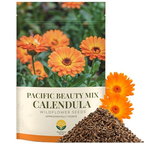 SunHaven Seeds Calendula Seeds Pacific Beauty Mix 3 000+ Seeds 1 oz Bulk Extra Large Resealable Packet Open Pollinated Non-GMO Calendula officinalis Seeds for Vibrant Orange and Yellow Blooms