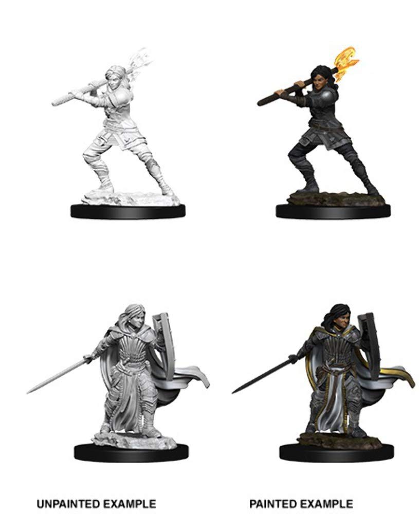 WizKids Nolzur's Marvelous Miniatures - D&D Human Female Paladin - WZK73830