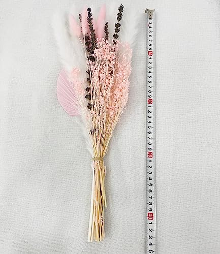 VELAFEE Bouquet di fiori secchi dolci - Set di 13