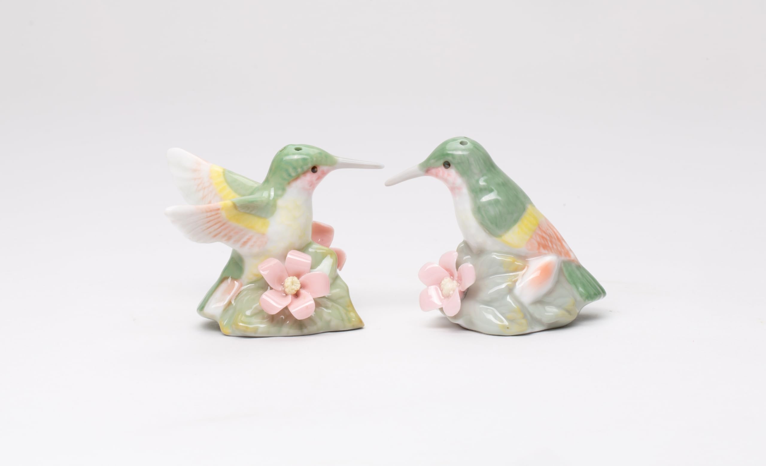 Amazon.com: Hummingbird Bird S/P Salt & Pepper Shakers New: Salt