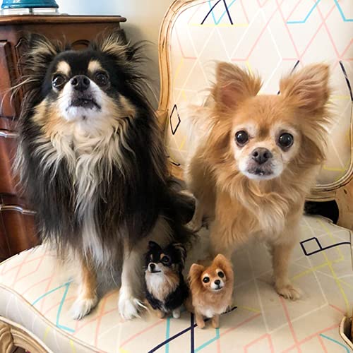 SOUFEEL Custom Wool Cat Portrait Needle Felted Sculpture