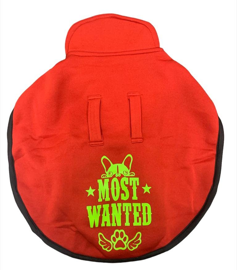Winter Dog Coat, Most Wanted, Red, 18", 150g (B0BNNHN8XF) Amazon Price History, Amazon Price Tracker