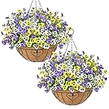 MEIVINES