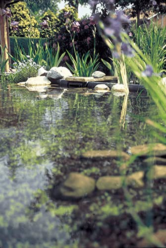 OASE BioSys Skimmer Plus 57137 Built-In Surface Extractor Suitable for Max. 50 m², Installation on Pond Edge, Pond Surface, Skimmer, Vacuum, Pond Cleaning