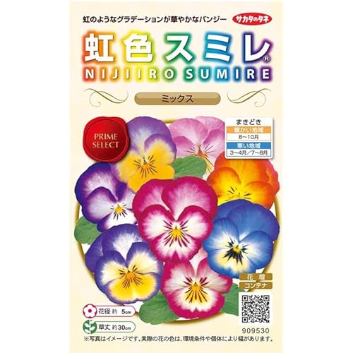 サカタのタネ 実咲花9530 虹色スミレ ミックス