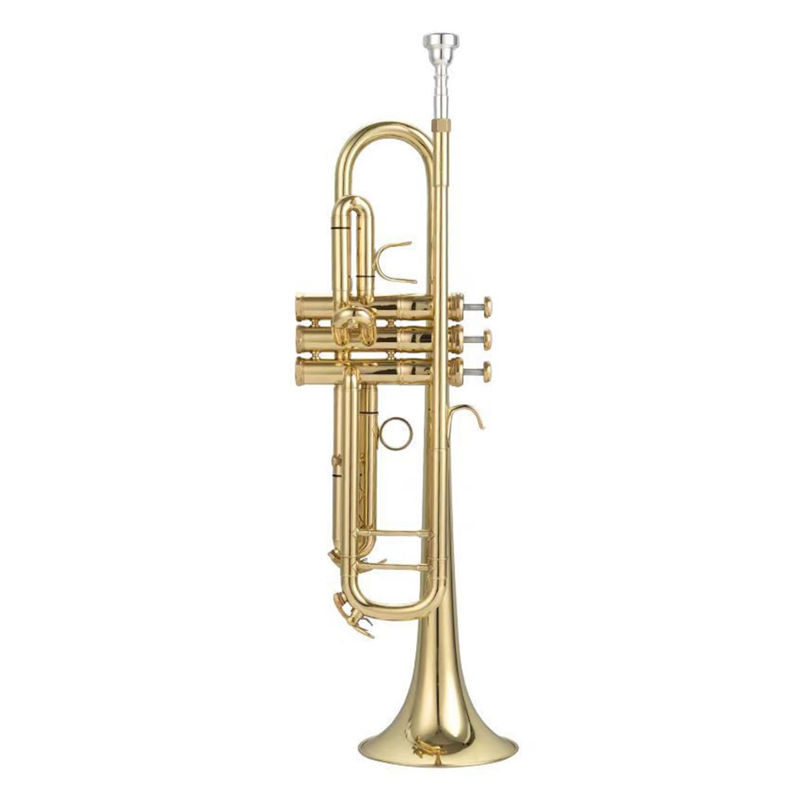 tromba Per Principianti Strumento Tromba In Si Bemolle Per Adulti Che Vogliono Imparare A Suonare Gli Strumenti A Fiato(Gold Lacquer)