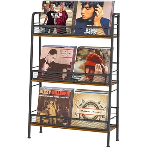 Jakyitvi Vinyl Record Storage Holder Cover