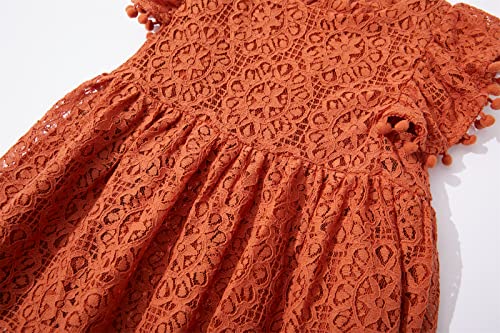Niyage Toddler Girls Elegant Lace Pom Pom Flutter Sleeve Party Princess Dress4