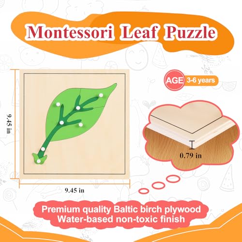 Image of MONTESSORI OUTLET Nature Materials Leaf Puzzle Early Preschool Learning Toys for 3-12 Year Old Kids and Toddler