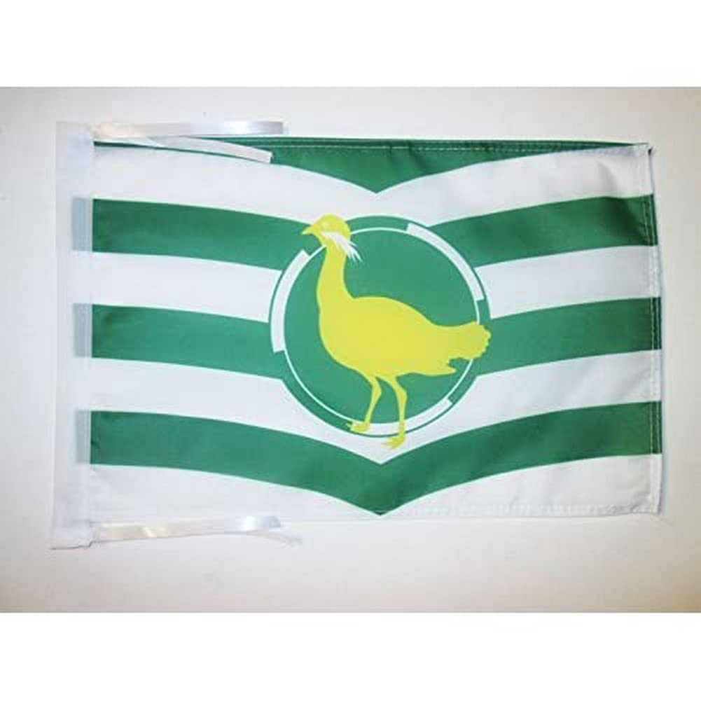 Iran Old Persia Flag 18'' x 12'' cords - Persian SMALL flags 30 x 45cm - Banner 18x12 in - AZ FLAG — view 211
