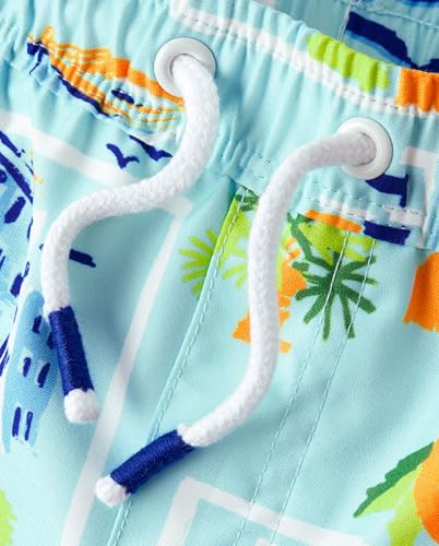 Image of Gymboree Boys and Toddler Swim Trunks
