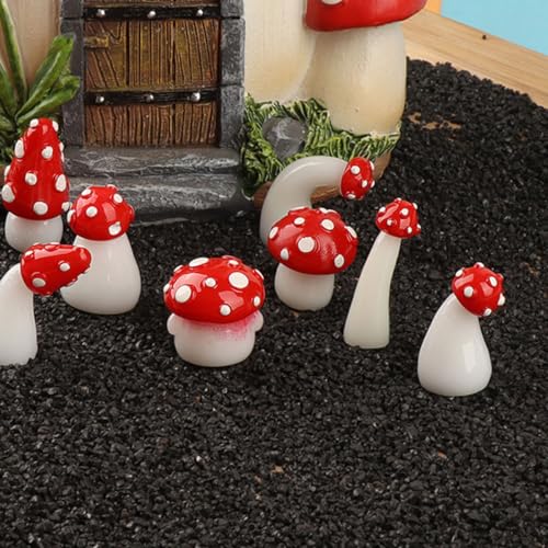 Happyyami 16ZbgÈŌ~jLmR̒u ~j`ALmR͌^ K[fjOAؔ̉OpI[ig X^Cws