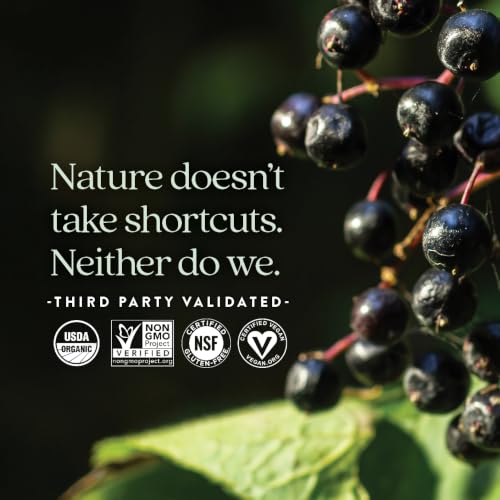 New Chapter USDA Organic Elderberry Gummies for Kids, 30 Count - image 5