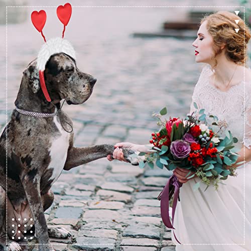 2 piezas diadema de corazón para perro talla M y L miniatura 6