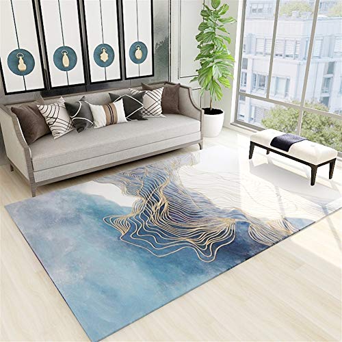 Liveinu Tapis Moderne Tapis Déco Lavable Moquettes de Poils Courts Tapis de Salon Chambre Salle à Manger Antidérapant 40x60cm STY-6-6