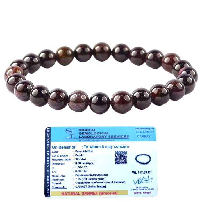 Divine Spirituals Natural Garnet (Gomed) Bracelet Lab-Certified AAA Grade 8mm Stretchable Original Crystal Bracelet For Chakra Balancing, Healing & Meditation For Men & Women (B0CZ8RQ2SZ) Amazon Price History, Amazon Price Tracker