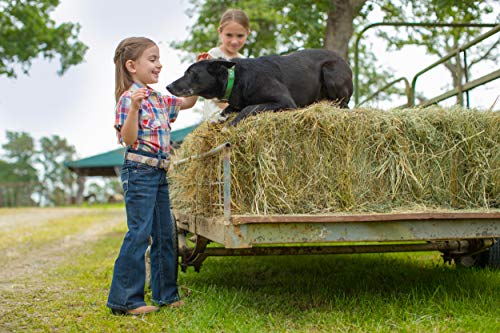 Wrangler Girls Boot Cut Jean with Embroidered Pockets2