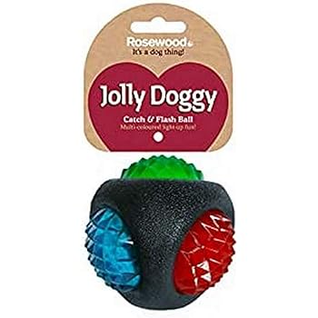 flashing dog ball
