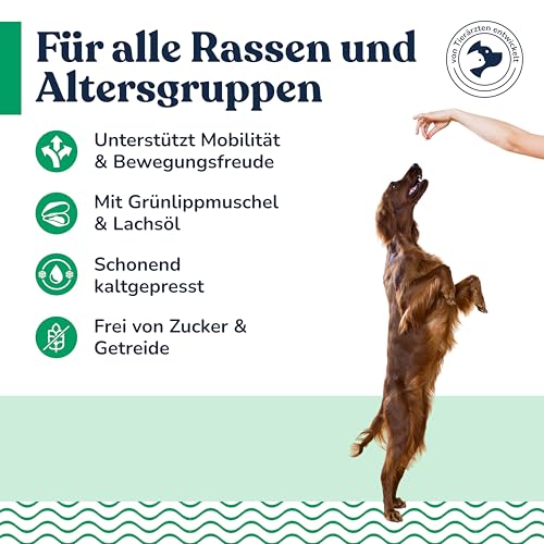 Hundesnacks mit Grünlippmuschel & Lachsöl – getreidefreie Kauartikel für Welpen, ausgewachsene Hunde und Senioren – sorgfältig hergestellte Leckerlis für aktive Vierbeiner, ca. 70 Stück