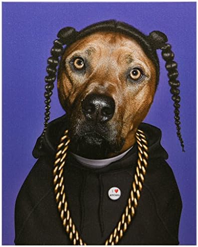 Empire Art Direct Pets Rock Rap Graphic Wrapped Canvas Dog Wall Art, 20" x 16" x 2", Ready to Hang