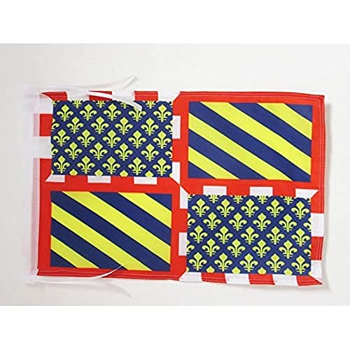 AZ FLAG, Province of Burgundy Flag, 18'' x 12'', 100% Polyester Province de Bourgogne Small Banner with Two Cords