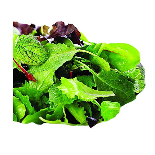 Park Seed Organic Salad Greens Seed Mix – Assorted Lettuces, Arugula, and Mustard Greens for Cool-Season Growing, Fresh Flavorful Blend for Home Gardens or Containers, Pack of 200