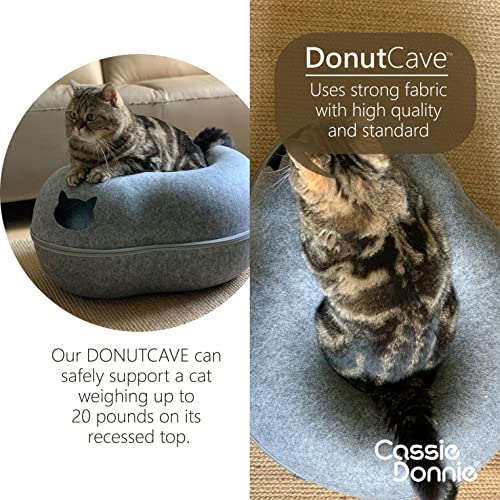 Cassiedonnie Premium Cat Bed Cave Tunnel Hiding Places For Indoor Cats (Large) Houses & Condos. Washable 100% Nontoxic Eco-Friendly. Spacious For 2 Cats #TOP2