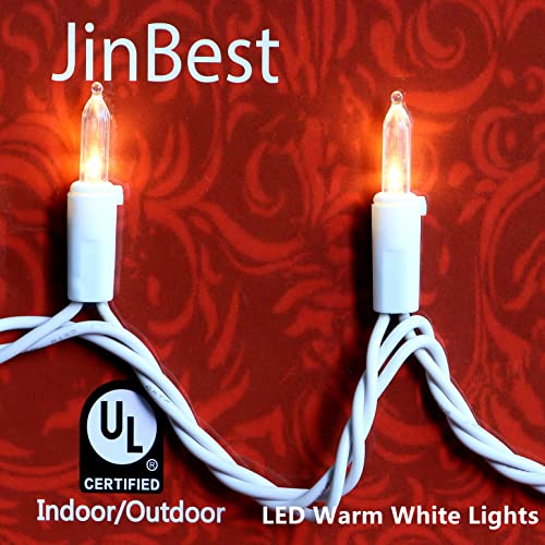 JinBest 100 LED Warm White Christmas Lights, 35 Ft White Wire Always On