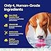 TEEF FOR LIFE Refill Packets Protektin42 Prebiotic Dental Powder for Dogs, Plant-derived, Clinically-Proven Formula Naturally Fights Bad Breath, Plaque, and Tartar, 3 Packets with 90 Servings