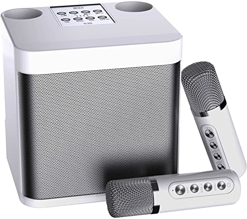 Haut-parleur de karaoké Bluetooth portable pour TV avec micros sans fil pour système audio de fête