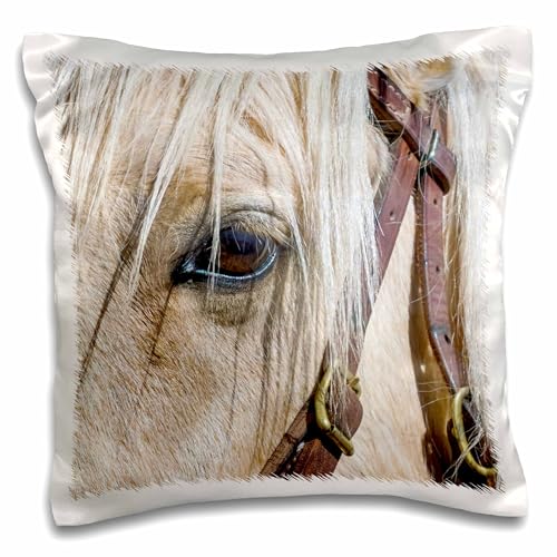 3dRose 16x16 inch Pillow Case - USA, Arizona, Scottsdale. Close up of Horses Eye and Bridle. Horses
