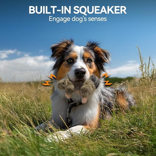 ALL FOR PAWS Classic Squirrel Pet Toys, Small - Image 4