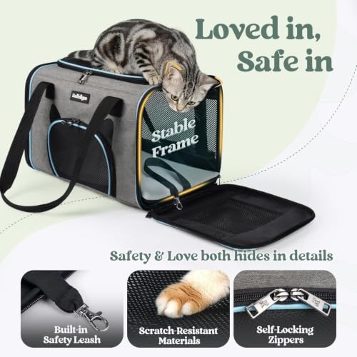 Image of rabbitgoo Cat Carrier Soft Sided, Stable Portable Pet Carrier with Safety Buckles for Car Travel Vet Visit Airline, Comfortable Breathable Kitten Bag for Small Medium Cat, Grey, 17x11x11 inch