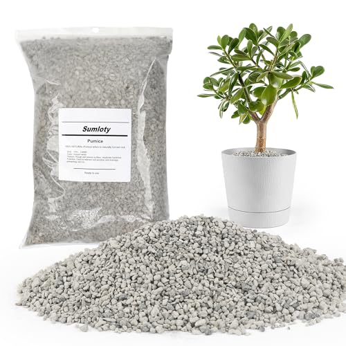 Sumloty Pumice for Plants 3 Quarts (1/4 Inch) Horticultural Pumice Stone Natural Soil Amendment for Succulent Cactus Bonsai for Orchid Potting Mix Improve Drainage & Aeration
