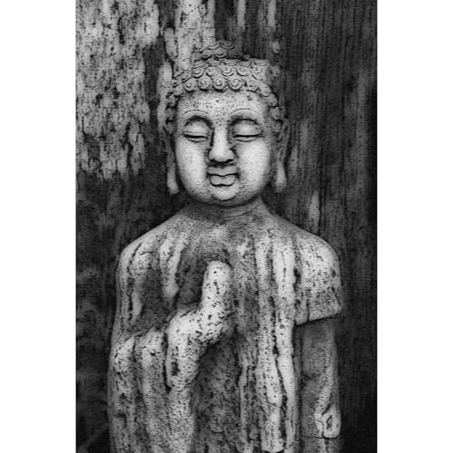 MADE IN JAPAN - 108 HAIKU - charles kasler episode artwork