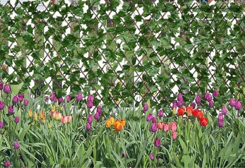 Image of Artificial Grass Trellis with Ivy Leaves (2 Pieces) I Expandable Garden Grass Fence I UV Protected I Outdoor Indoor (Green, 1 Piece is 4 Feet x 1 Feet, expands to 9 FEET x 1.6 Feet)