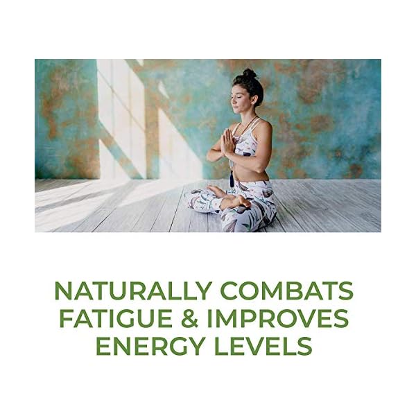 MegaFood-Blood-Builder-Iron-Supplement-for-Energy-Support-with-Vitamin-B12-and-Folic-Acid-No-Nausea-or-Constipation-60-Tablets MegaFood Blood Builder - Iron Supplement Clinically Shown to Increase Iron Levels without Side Effects - Iron Supplement for Women with Vitamin C, Vitamin B12 and Folic Acid - Vegan - 60 Tabs