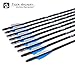 TIGER ARCHERY 30inch Fiberglass Arrow with Replaceable Arrowhead Spine 500 for Recurve and Compound Bow Hunting and Practice Hunting (Blue White, 30)