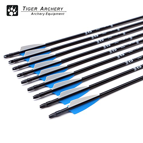 Tiger Archery 30inch Fiberglass Arrow with Replaceable Arrowhead Spine 500 for Recurve and Compound Bow Hunting and Practice Hunting(Pack of 12) - Thumbnail 2