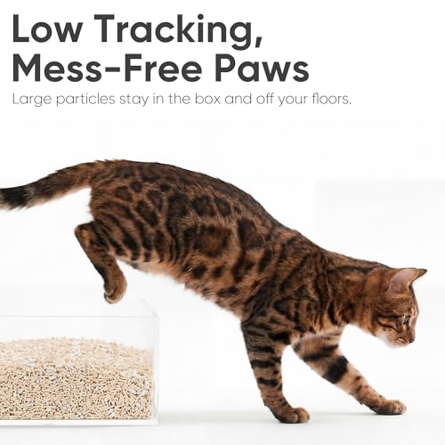 Image of FUKUMARU Tofu Cat Litter, SAP Absorbent, Clumping, Odor Control, 18 lb
