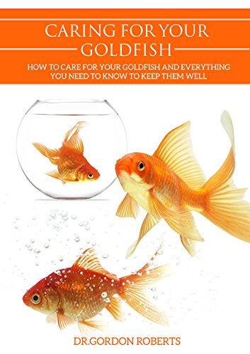 goldfish care uk