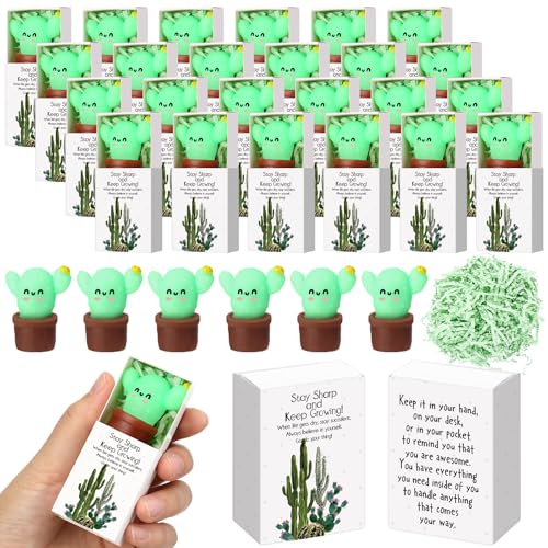 Wettarn 72 Sets Cactus Positive Gifts Cute Stress Balls with