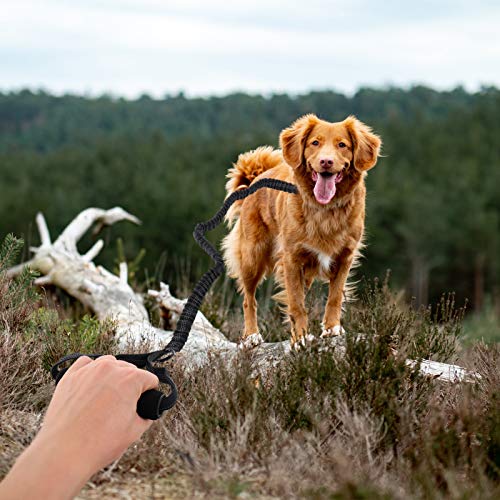 UKCOCO Trela Forte para CÃ£es Trela ElÃ¡stica para Treinamento de CÃ£es Com AlÃ§a Acolchoada Confort